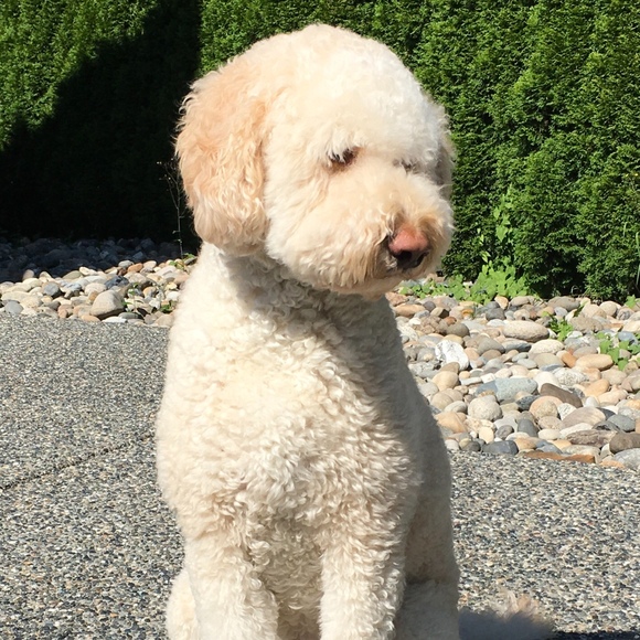 Meet your Posher, May - Picture 1 of 1